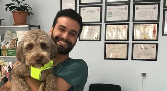 pavvet pawet galeri 1