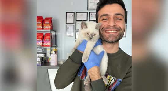 pavvet pawet galeri 2