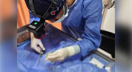 pavvet pawet galeri 3